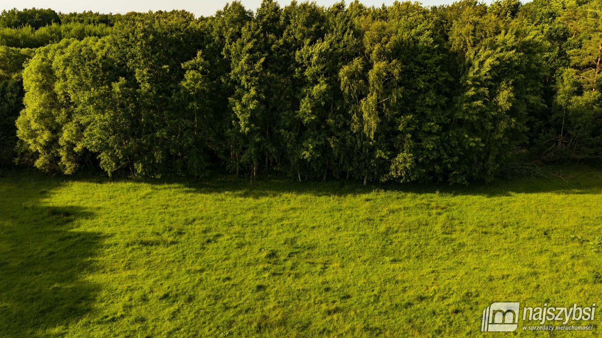 Nowogard - okolica, działka z możliwością zabudowy (3)