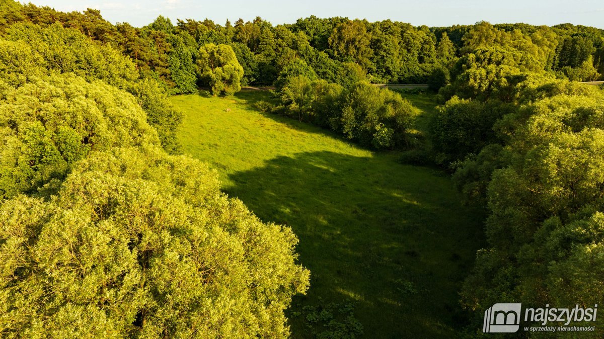 Nowogard - okolica, działka z możliwością zabudowy (4)