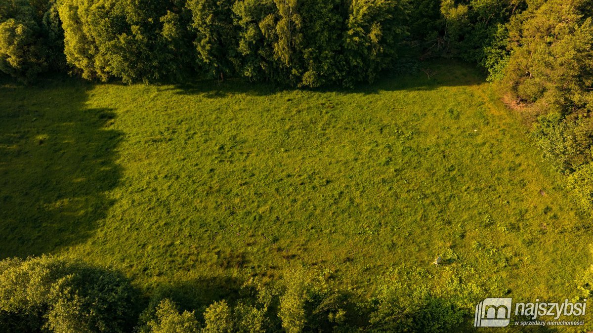 Długołęka - działka inwestycyjna z możliwościami (2)