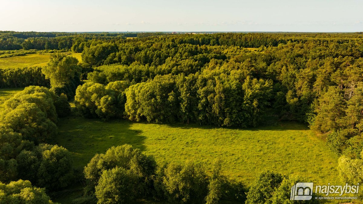 Długołęka - działka inwestycyjna z możliwościami (4)