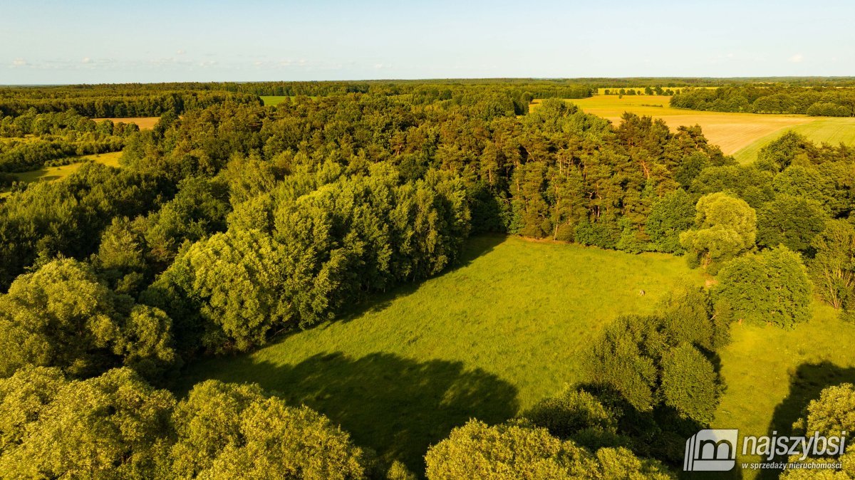 Długołęka - działka inwestycyjna z możliwościami (5)