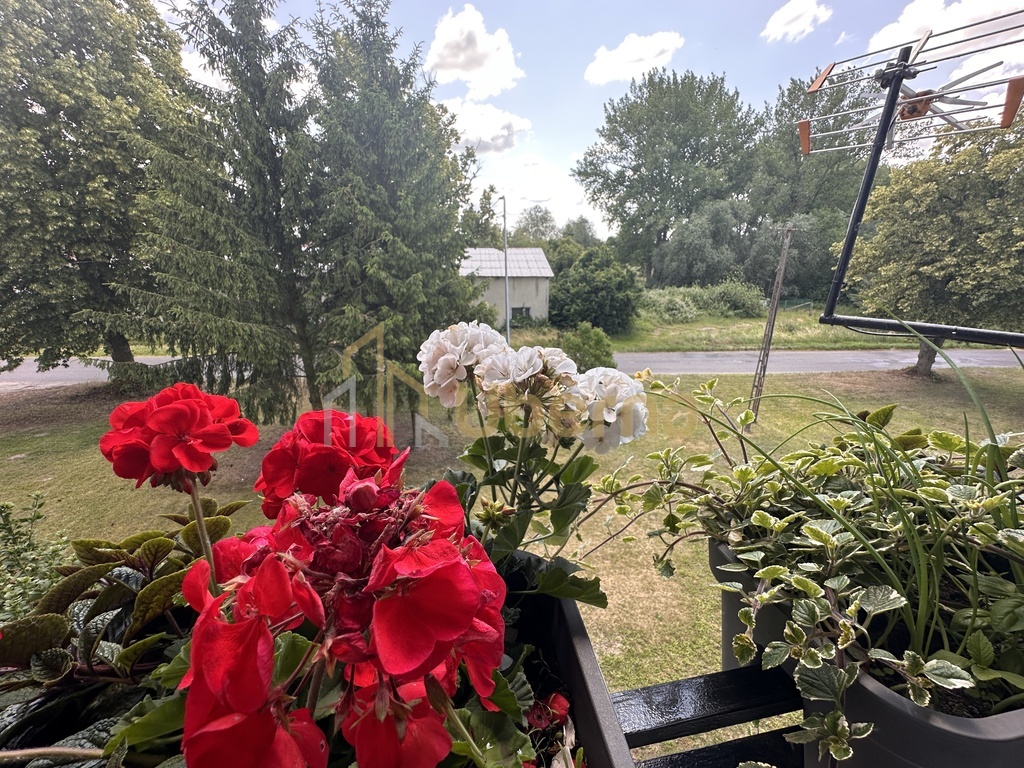 Mieszkanie 2pok. Darż pod Maszewem na sprzedaż (11)