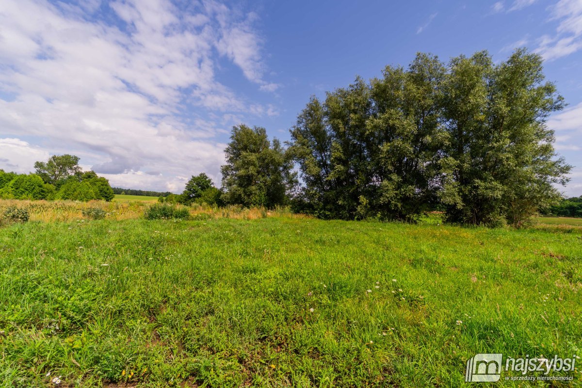 Działka rolno-budowlana w Karsku  (5)