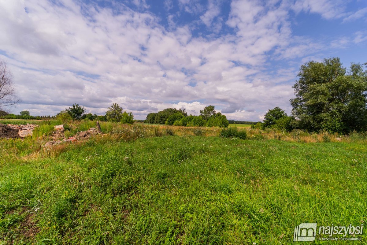 Działka rolno-budowlana w Karsku  (6)