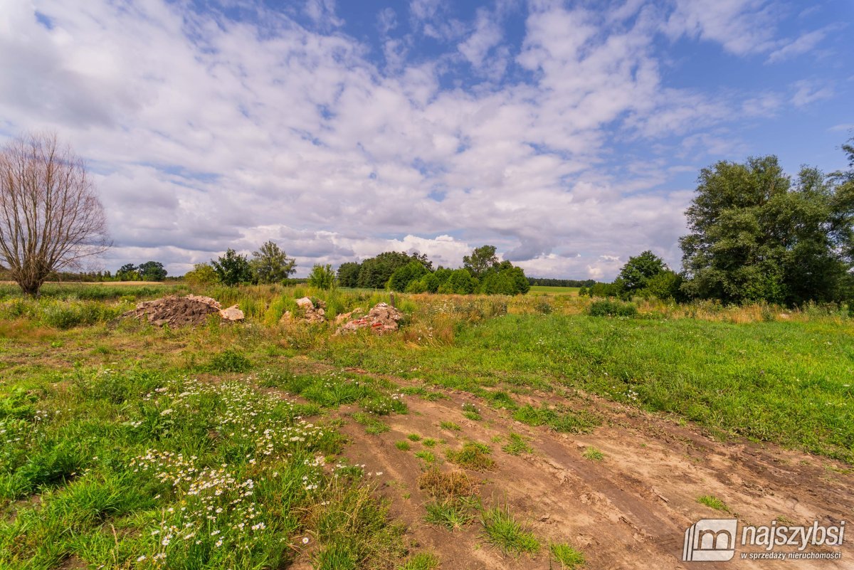 Działka rolno-budowlana w Karsku  (7)