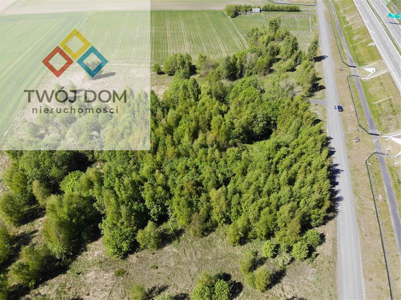 Działka - Stare Bielice  (4)