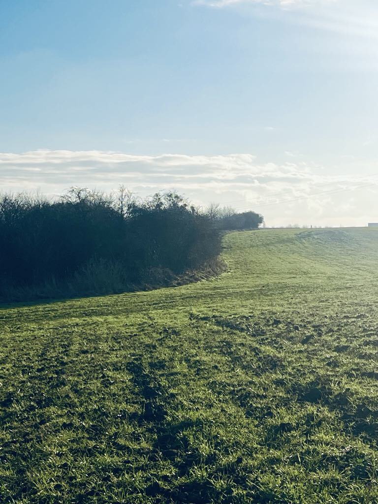 Teren pod inwestycję/kameralne osiedle nad rzeką (2)