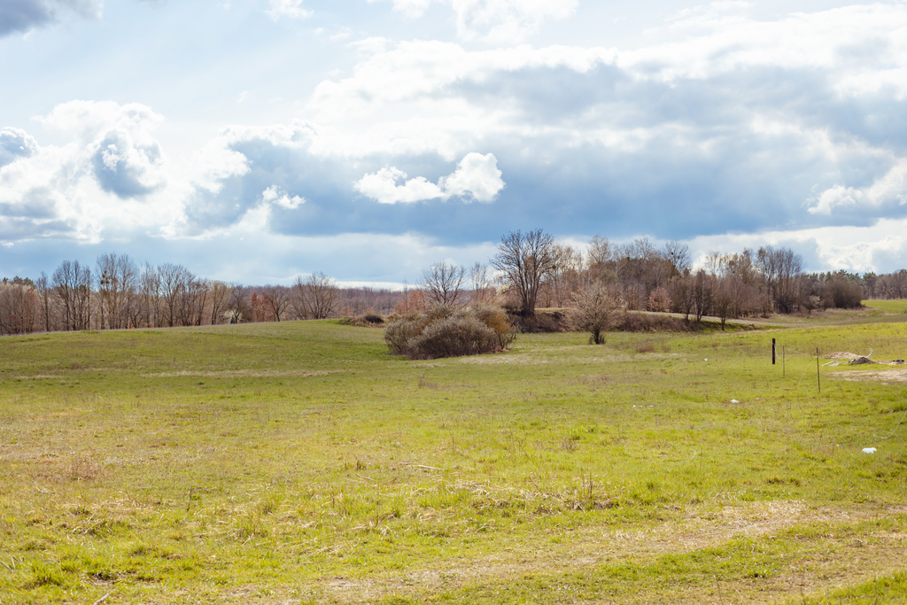 Siedliskowa, 5,298 m2, Szczecin Śmierdnica (1)