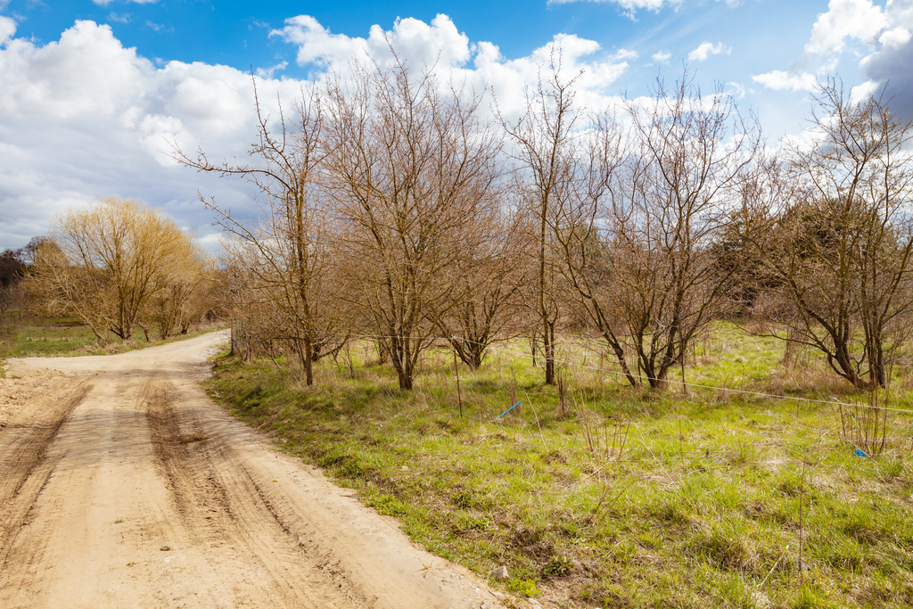 Siedliskowa, 5,298 m2, Szczecin Śmierdnica (2)