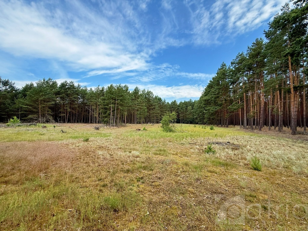 Duża działka inwestycyjna w Sownie, gmina Stargard (2)