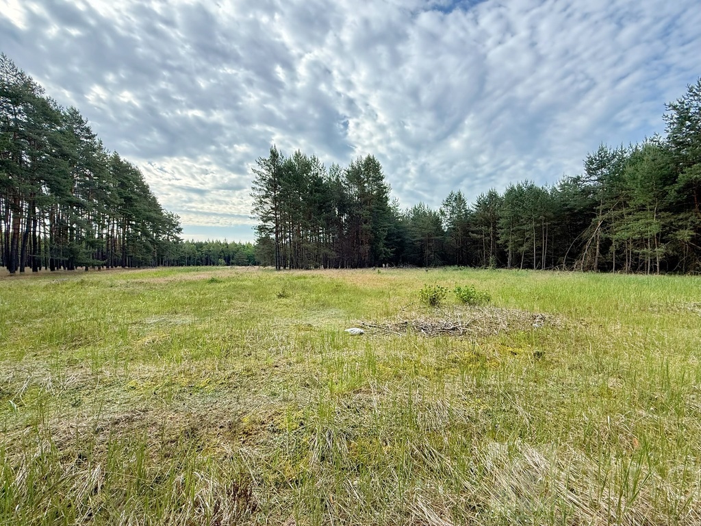 Duża działka inwestycyjna w Sownie, gmina Stargard (3)