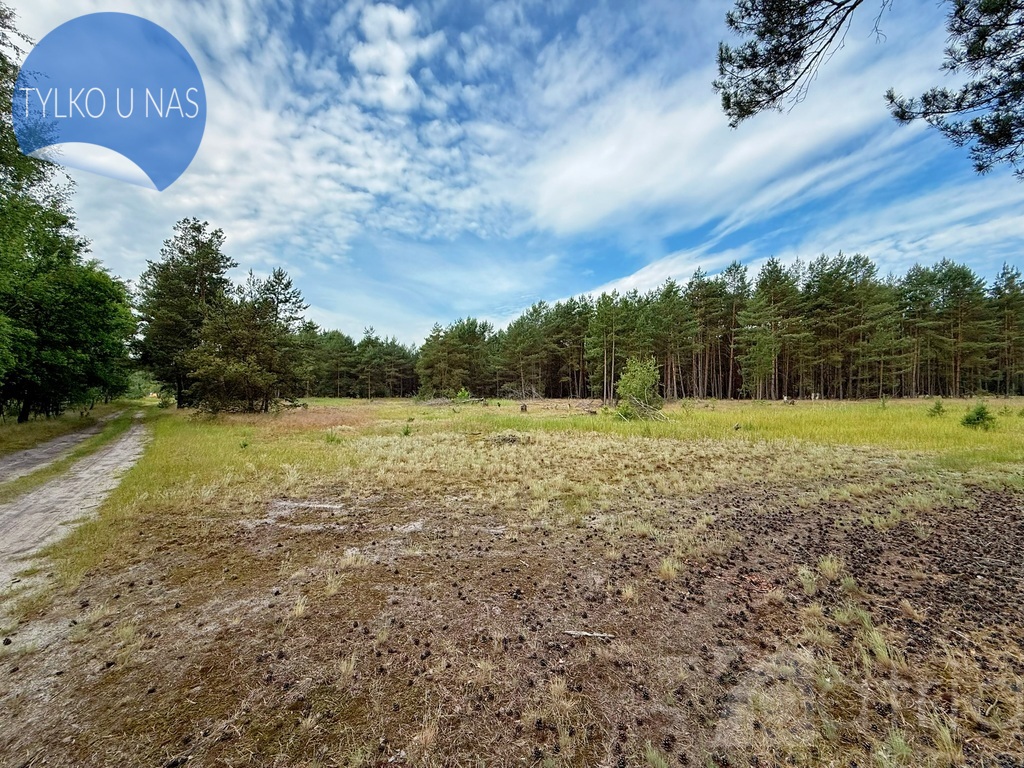 Duża działka inwestycyjna w Sownie, gmina Stargard (1)