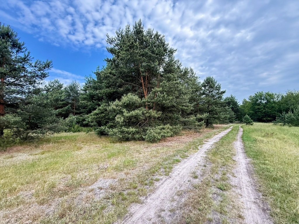 Duża działka inwestycyjna w Sownie, gmina Stargard (4)