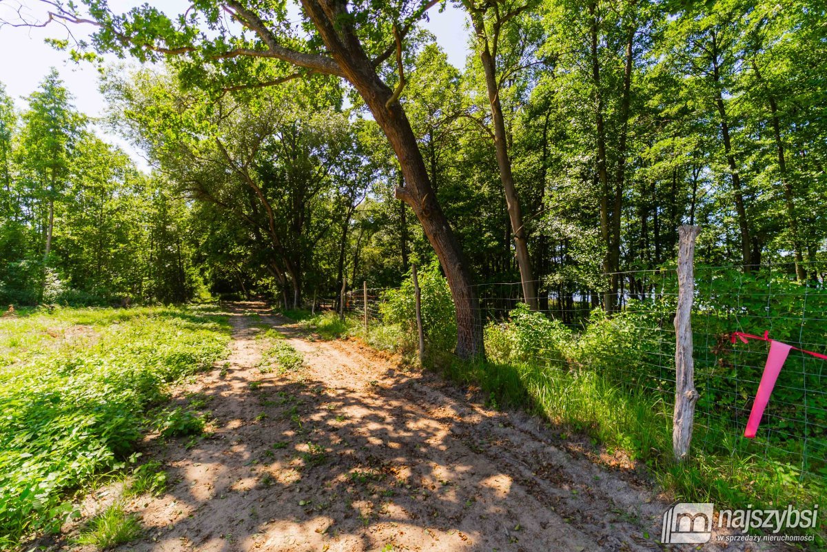 Domysłów -działka z linią brzegową 53m z WZ (5)