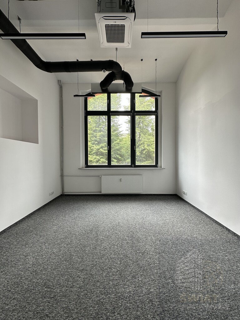 Lokal 20 m2 na wynajem (1)