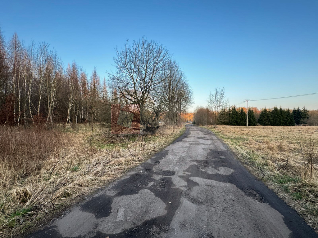 Błotny Młyn 903 m2 działka przy lesie na sprzedaż! (1)