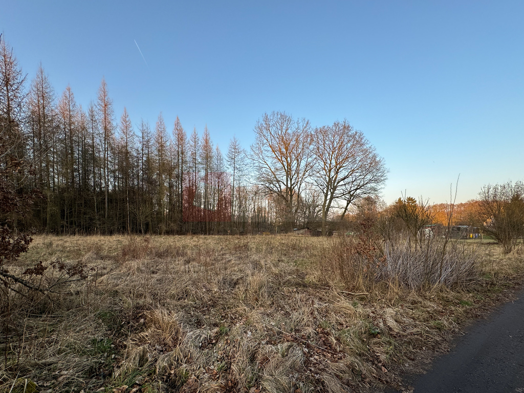 Błotny Młyn 903 m2 działka przy lesie na sprzedaż! (2)