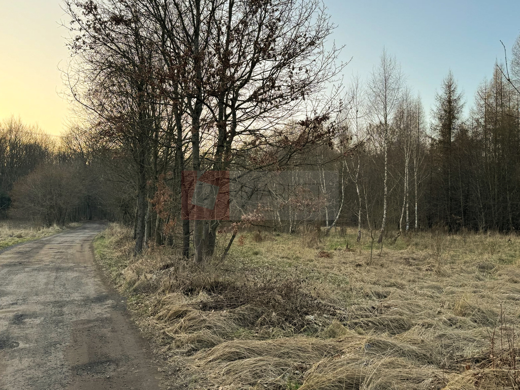 Błotny Młyn 903 m2 działka przy lesie na sprzedaż! (4)