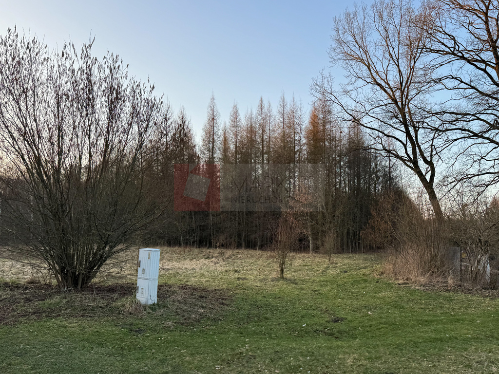 Błotny Młyn 903 m2 działka przy lesie na sprzedaż! (5)
