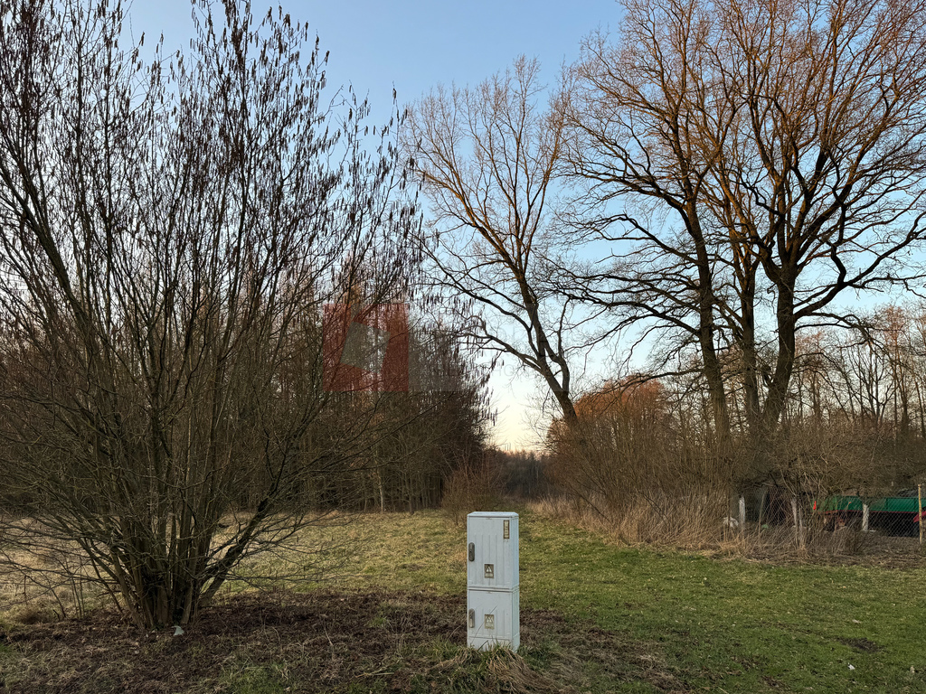 Błotny Młyn 903 m2 działka przy lesie na sprzedaż! (6)