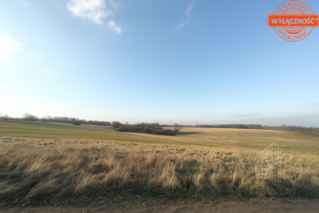 Działka w malowniczej okolicy Siadła Dolnego (2)