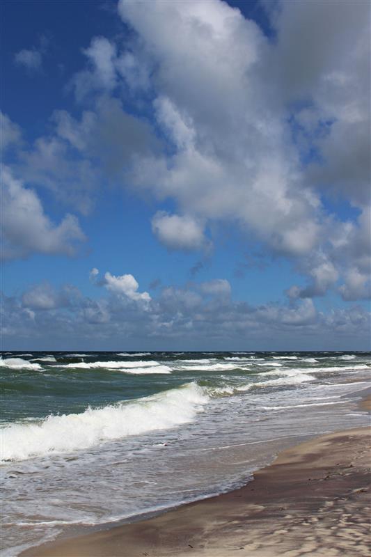 Sarbinowo,centrum:działka uzbrojona 480m od morza (5)