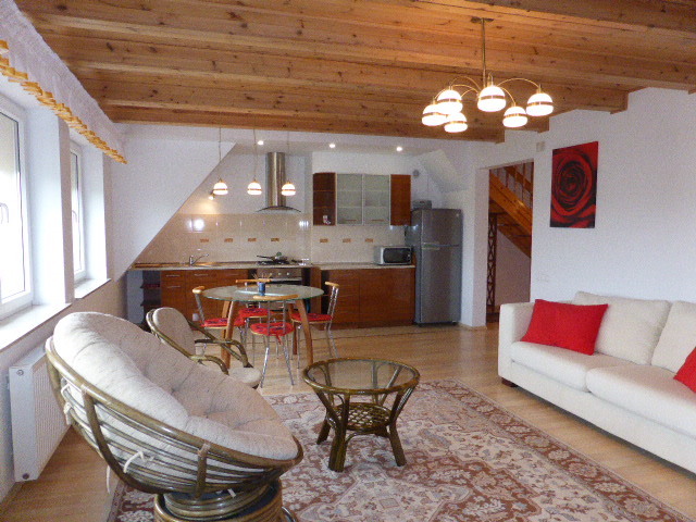 Apartament do wynajęcia (1)