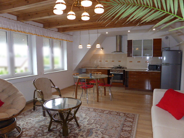 Apartament do wynajęcia (2)