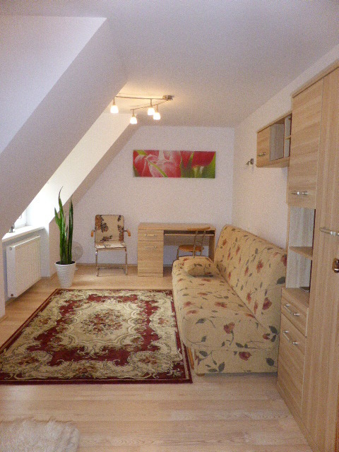 Apartament do wynajęcia (4)