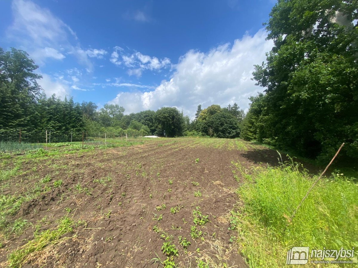 Nowogard- działka budowlana 10 min. od Nowogardu (3)