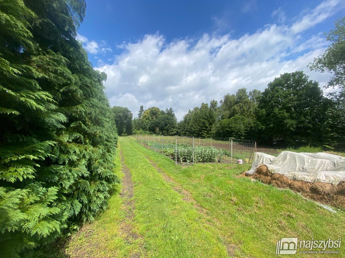 Nowogard- działka budowlana 10 min. od Nowogardu (7)