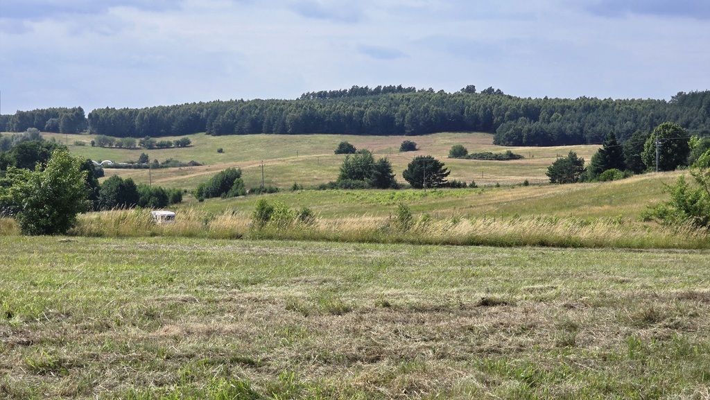 Piękna działka z dojściem do Jeziora Lubie. (16)