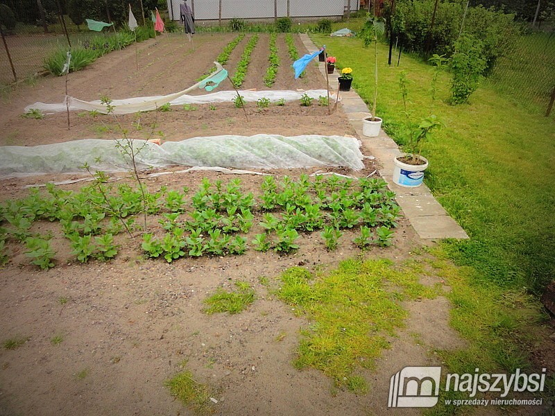 Mieszkanie, 3 pok., 58 m2, Recz Obrzeża (11)