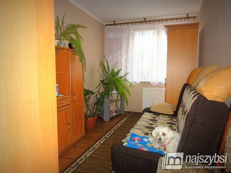 Mieszkanie, 3 pok., 58 m2, Recz Obrzeża (2)