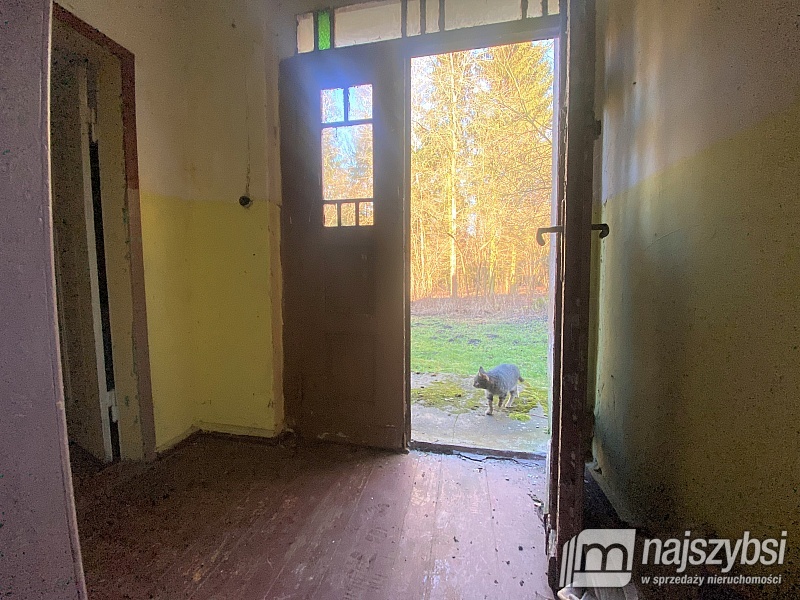 Bezczynszowe mieszkanie w gminie Płoty w otulinie  (5)