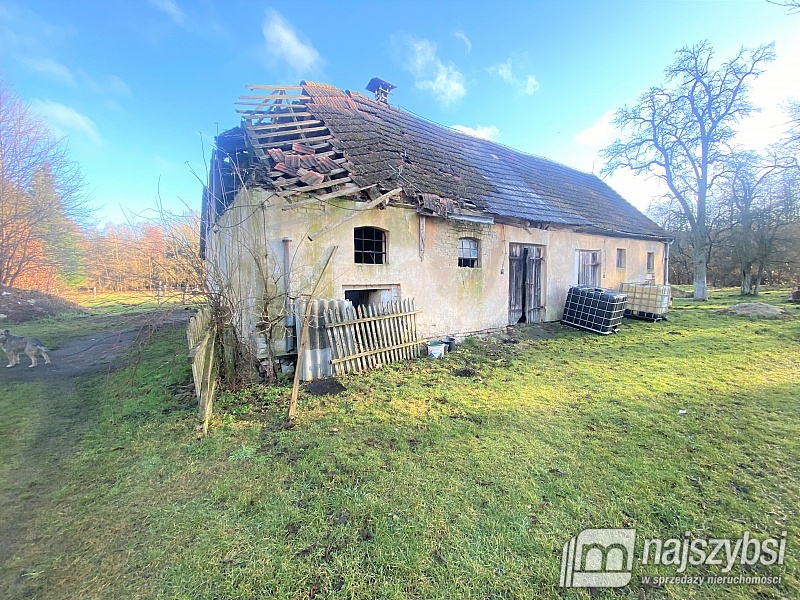 Bezczynszowe mieszkanie w gminie Płoty w otulinie  (8)