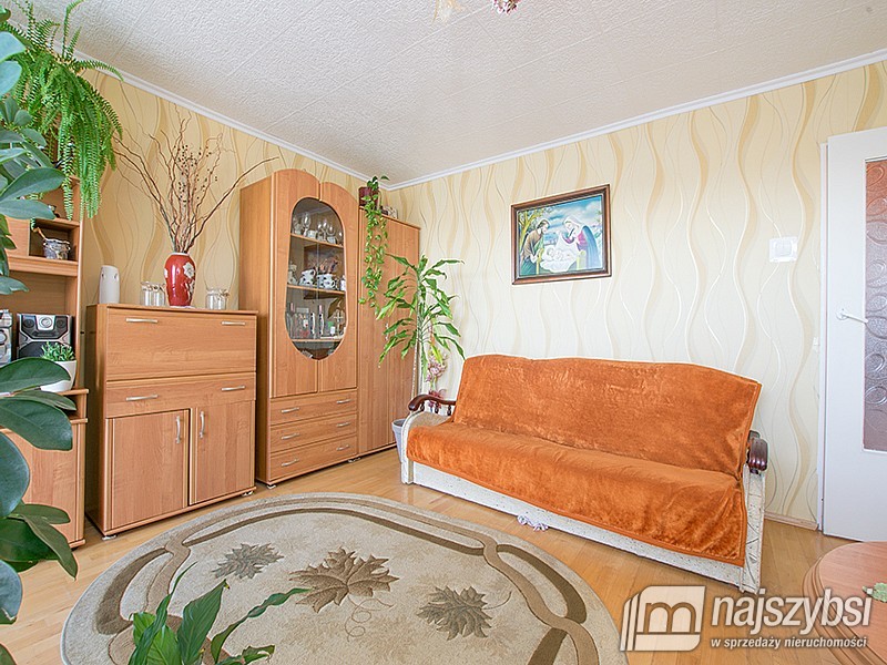 Mieszkanie 3-pokojowe Zieleniewo  (3)