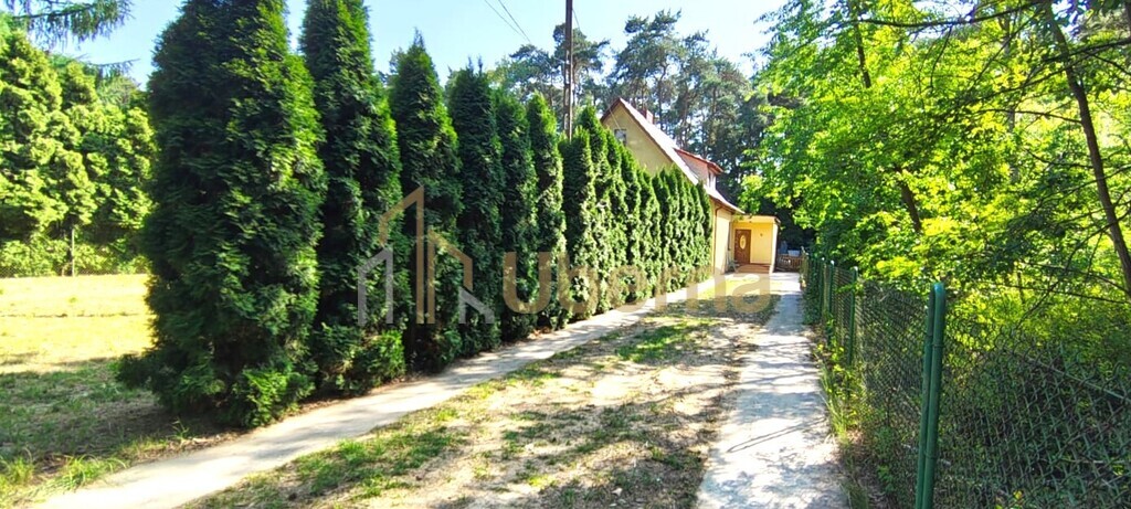 Szczecin Wielgowo, mieszkanie z ogrodem, sprzedaż. (3)