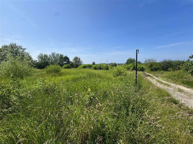 Działka budowlana - Skwierzynka Skwierzynka (6)