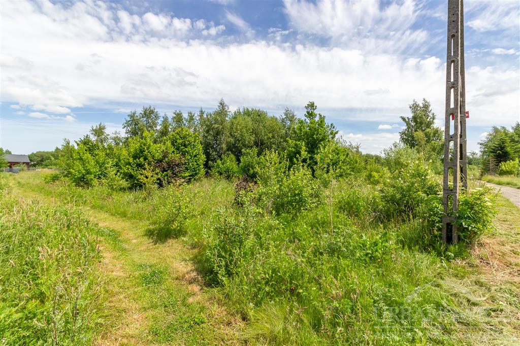 Działka w Starych Bielicach z warunkami zabudowy. (2)