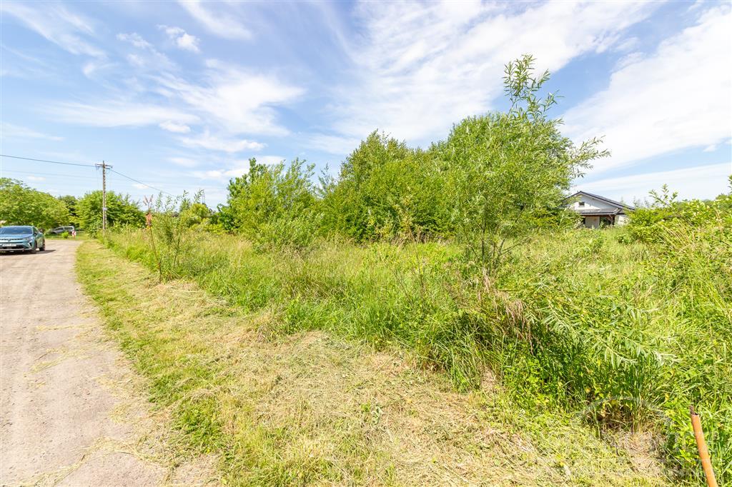 Działka w Starych Bielicach z warunkami zabudowy. (3)