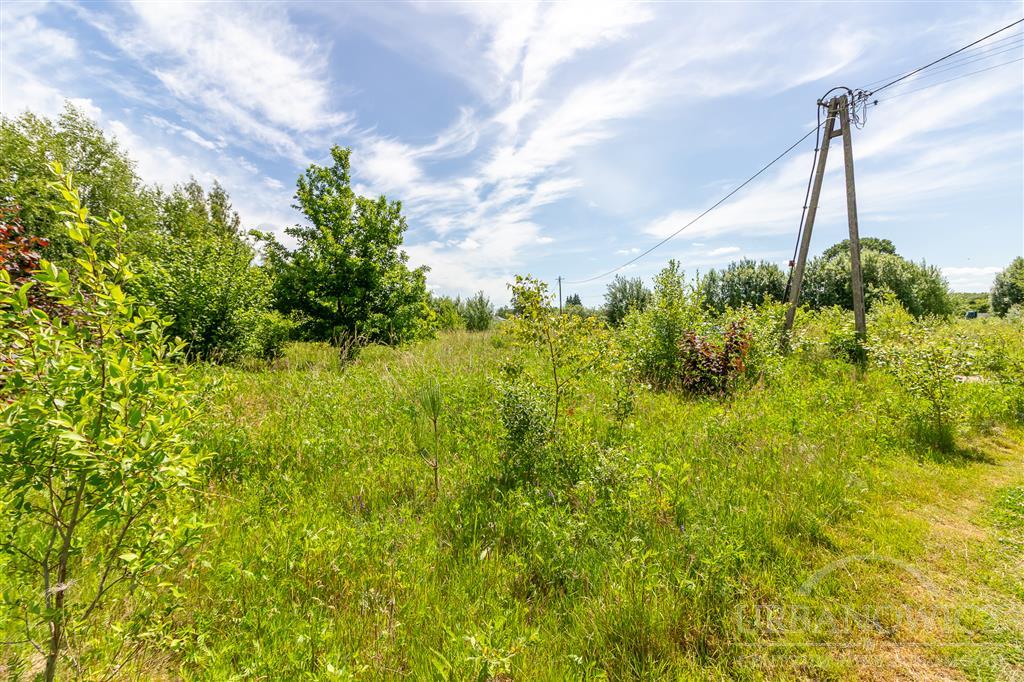 Działka w Starych Bielicach z warunkami zabudowy. (4)
