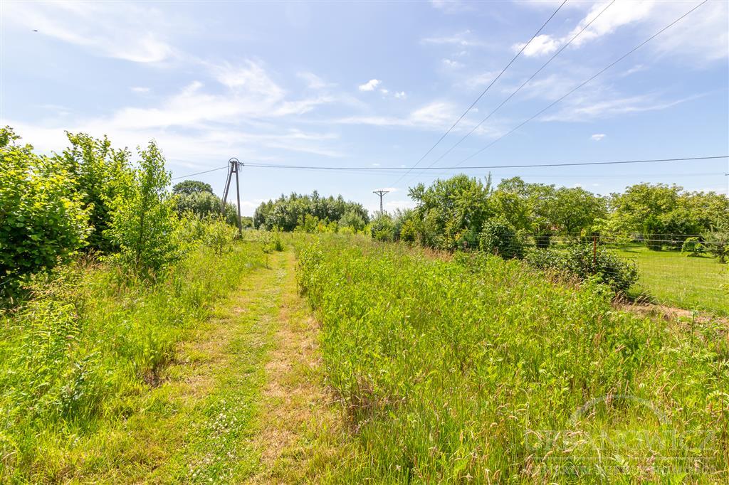 Działka w Starych Bielicach z warunkami zabudowy. (6)