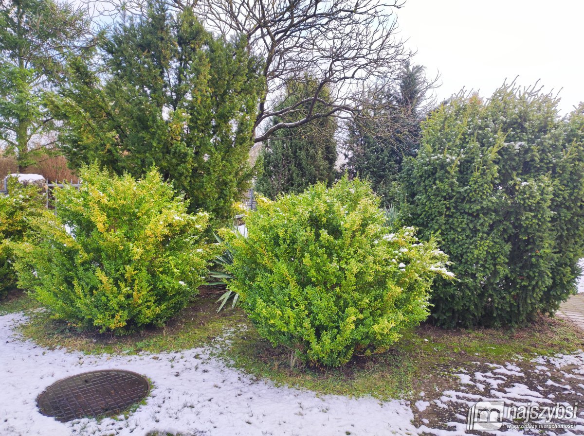 Świdwin- obrzeża- dom w cichej okolicy (17)