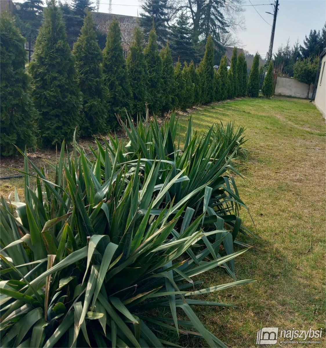 Goleniów-dom 180 m2 (32)