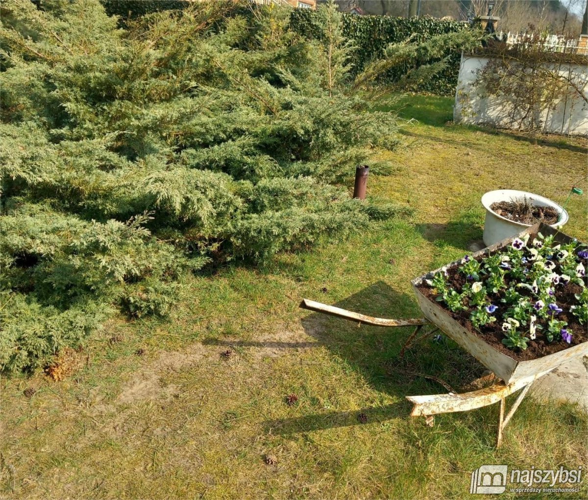 Goleniów-dom 180 m2 (34)