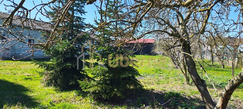 Kłodzino Przelewice dom i zabudowania gospodarcze (21)