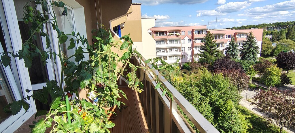 Szczecin Bukowe 3 pok. mieszkanie z balkonem (4)