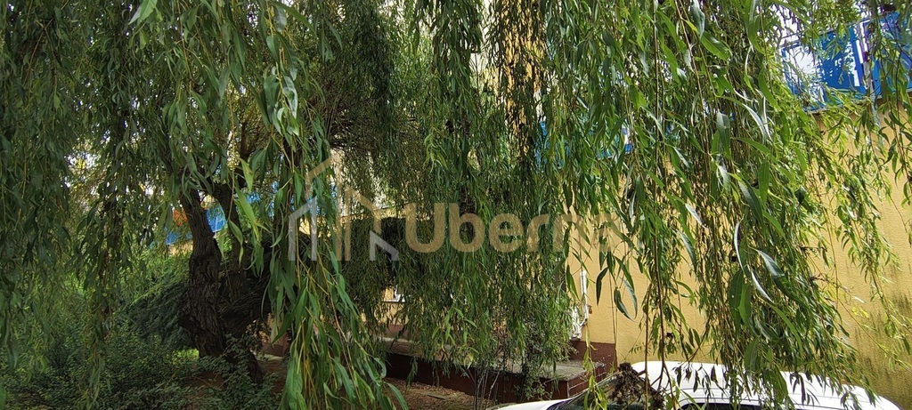 Szczecin, Słoneczne, CH Helios,3 pok. mieszkanie (25)