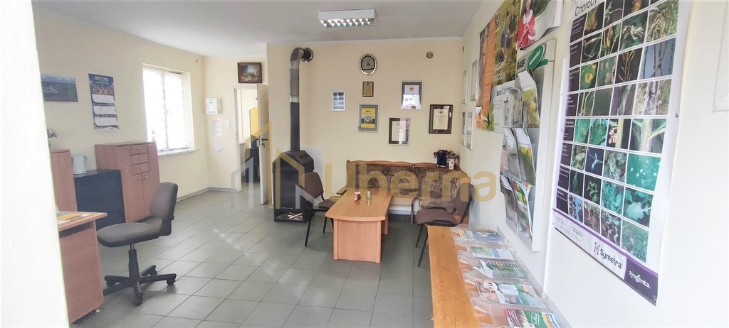 Nieruchomość usługowo-mieszkalna w Pełczycach (5)